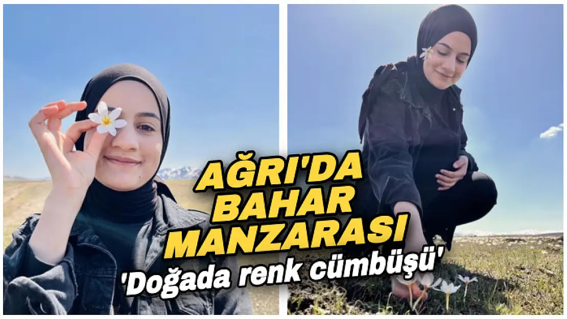 Ağrı'da ilkbaharla canlanan doğa, manzarasıyla mest ediyor