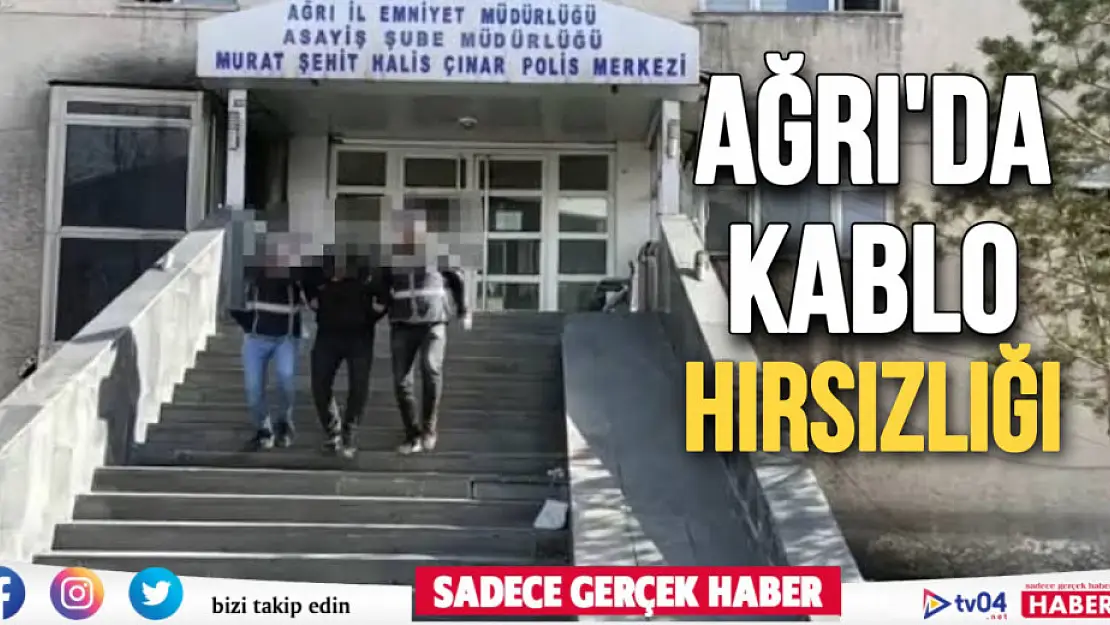 Ağrı'da kablo hırsızlığı kameralara yansıdı