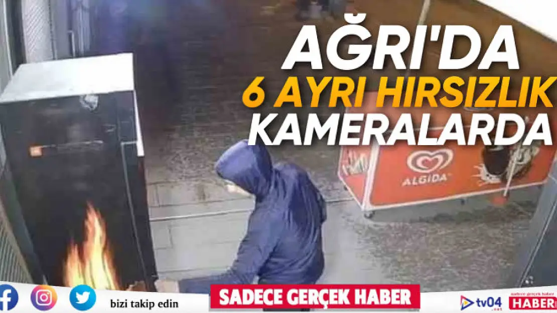 Ağrı'da kameraya takılan hırsızlar yakalandı