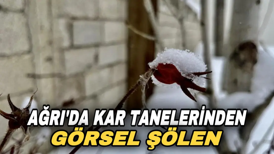 Ağrı'da kar taneleri görsel şölen oluşturdu