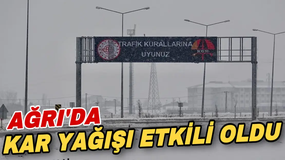 Ağrı'da kar yağışı etkili oldu