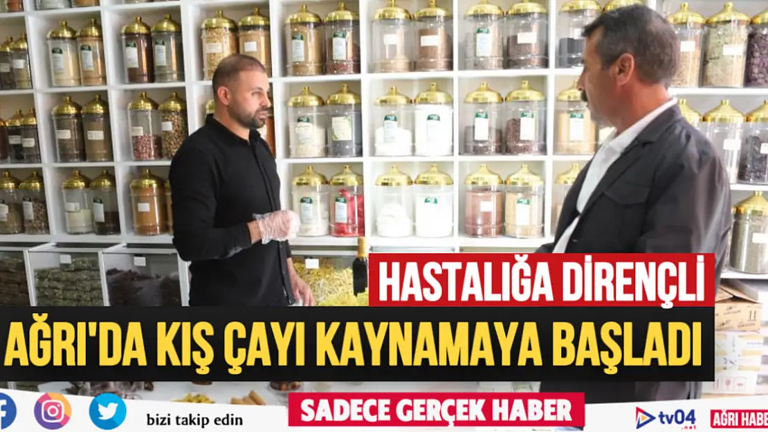 Ağrı'da kış çayı kaynamaya başladı