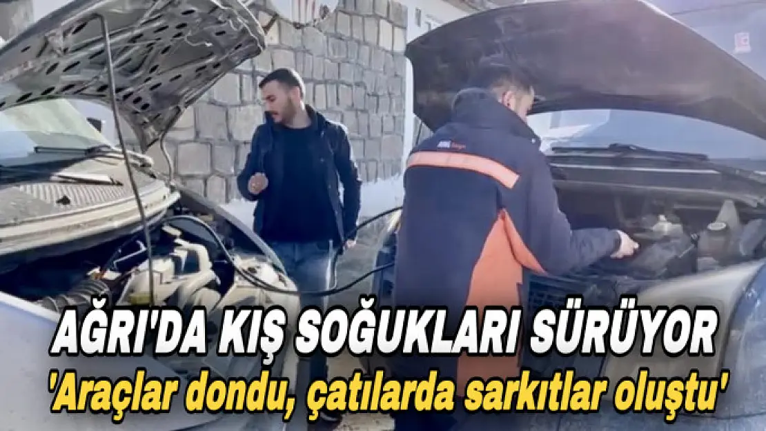 Ağrı'da kış soğukları etkisini sürdürüyor