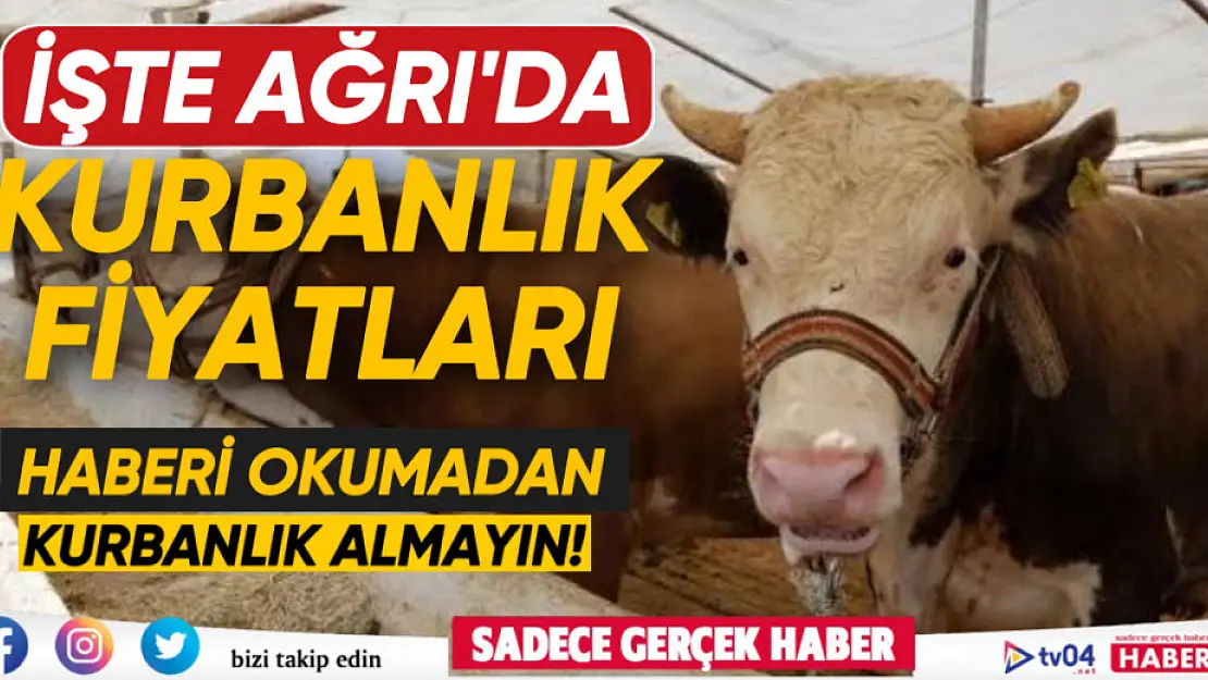 Ağrı'da kurban fiyatları ne kadar? Hayvan piyasası ne durumda?