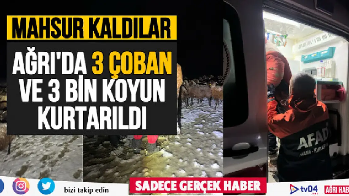 Ağrı'da mahsur kalan 3 çoban ve 3 bin koyun kurtarıldı