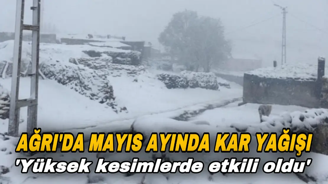 Ağrı'da Mayıs ayında kar yağışı etkili oldu