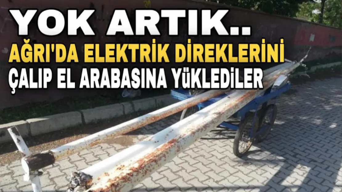 Ağrı'da parktaki elektrik direklerini çalan hırsızlar suçüstü yakalandı