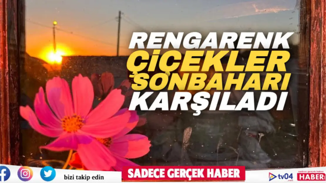 Ağrı'da rengarenk çiçekler sonbaharı karşıladı