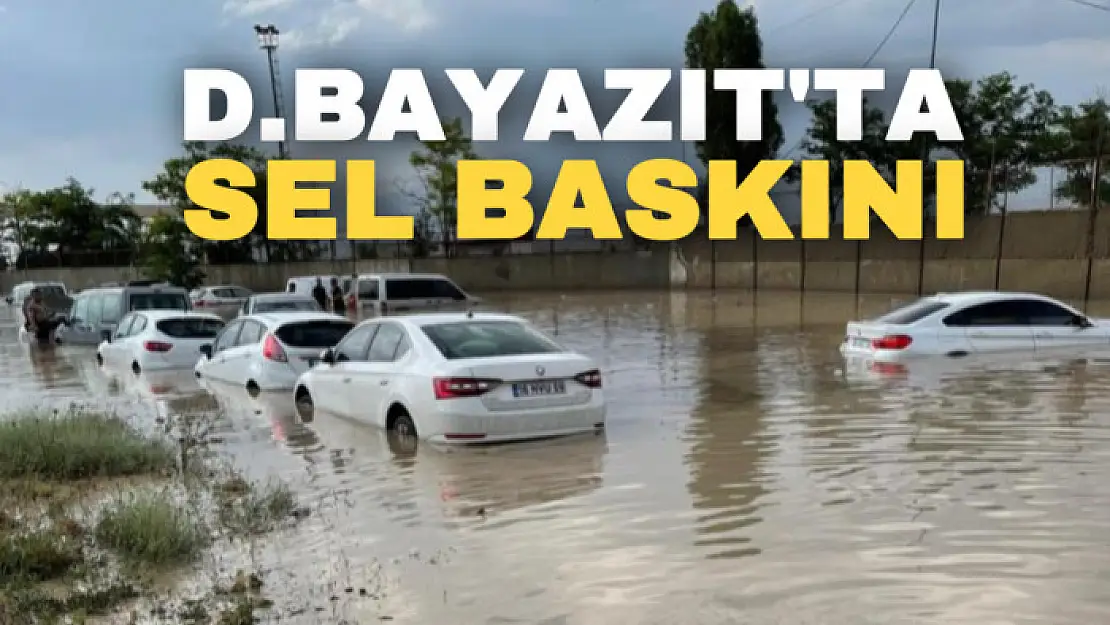 Ağrı'da sel baskını