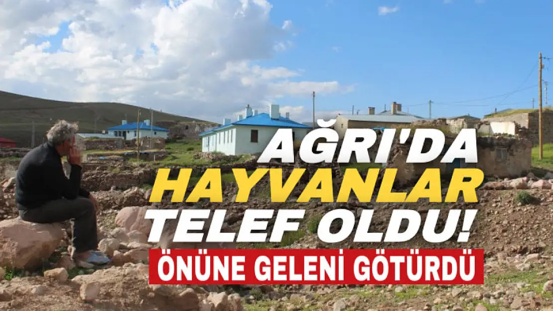 Ağrı'da sele kapılan hayvanlar telef oldu, yollar zarar gördü