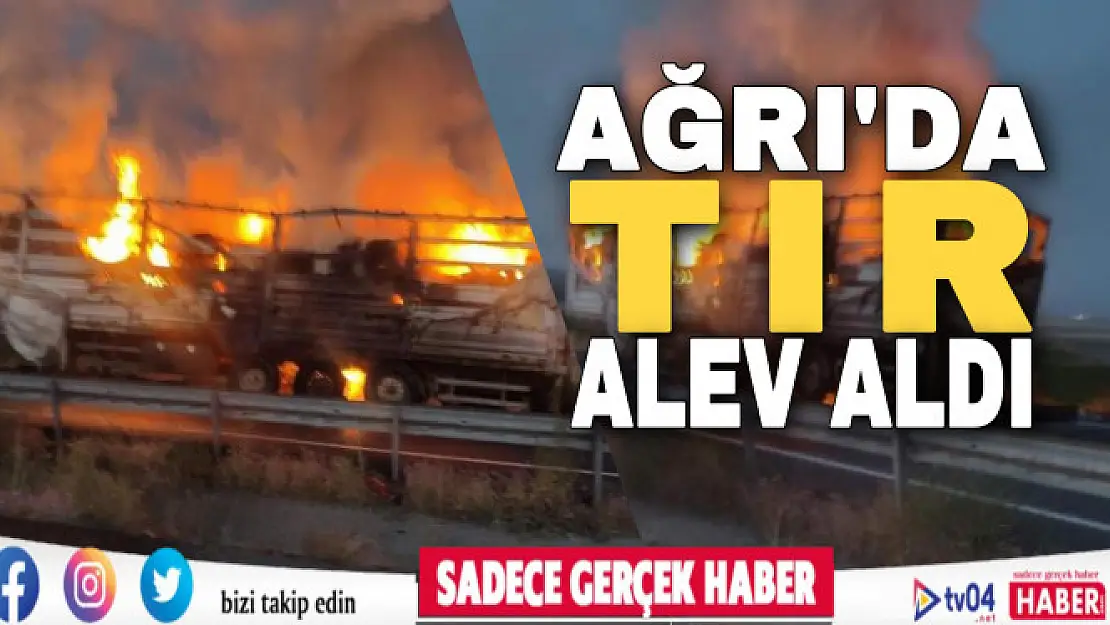 Ağrı'da seyir halindeki tır alev aldı