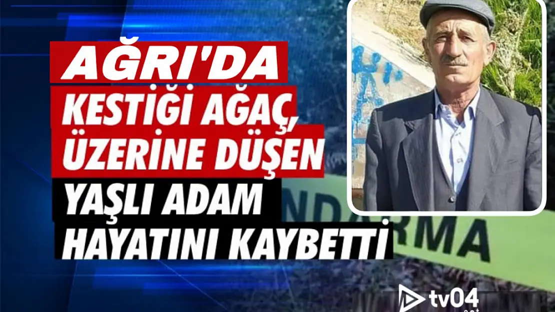 Ağrı'da talihsiz ölüm! Kestiği ağacın kafasına çarpması sonucu hayatını kaybetti