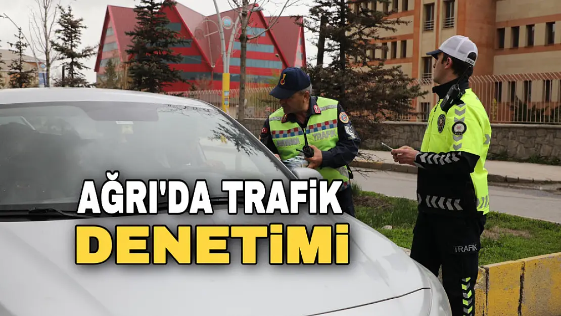 Ağrı'da trafik denetimi yapıldı