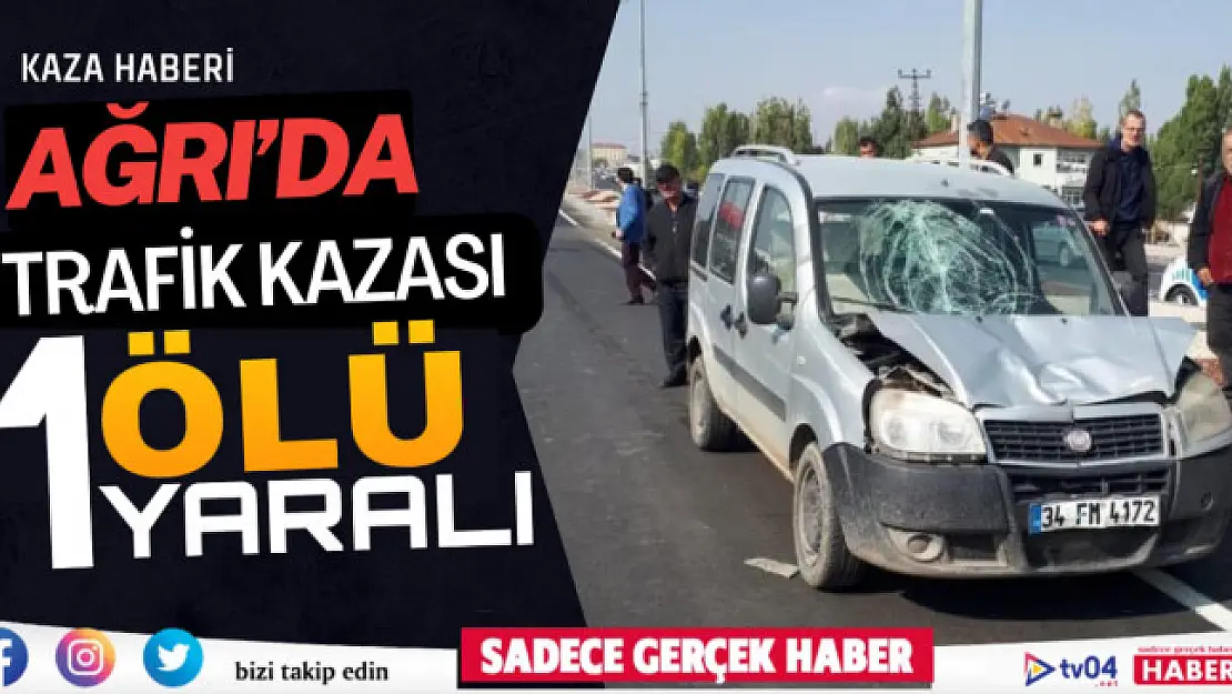 Ağrı'da trafik kazası 1 ölü, 1 yaralı