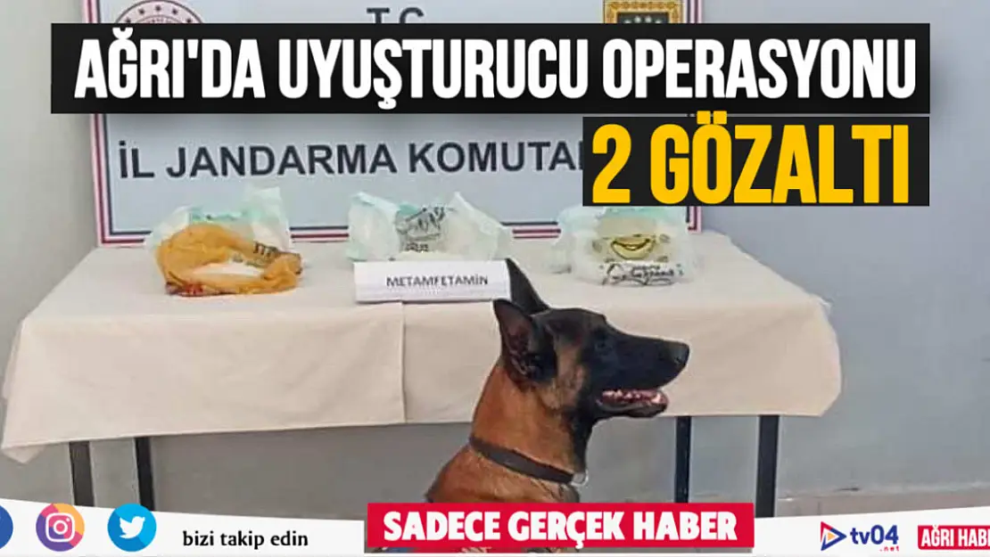 Ağrı'da uyuşturucu operasyonu: 2 gözaltı