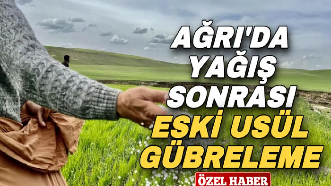 Ağrı'da yağışlar etkili oldu, çiftçi eski usul elle gübrelemeye döndü