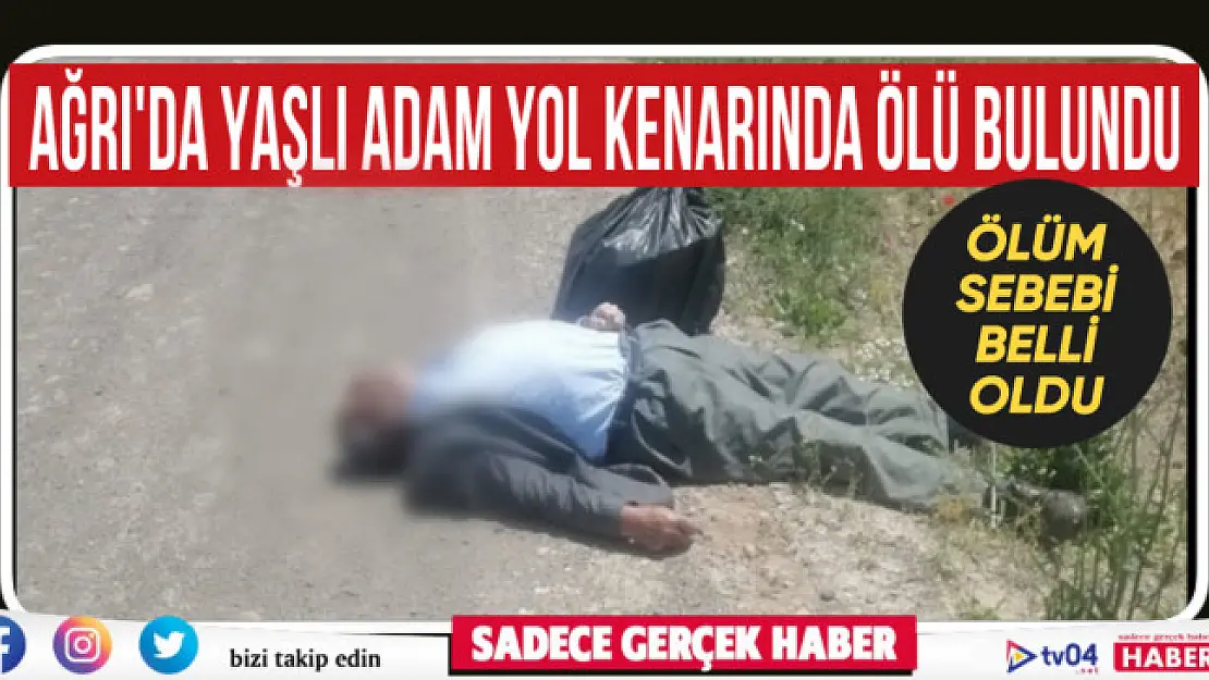 Ağrı'da yaşlı adam yol kenarında ölü bulundu