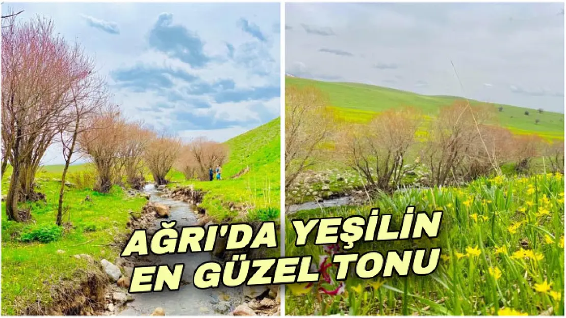 Ağrı'da yeniden canlanan doğa büyülüyor