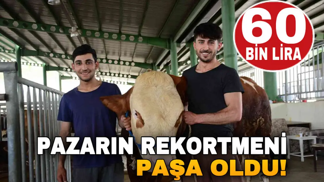 Ağrı'dan kurbanlık satışı için götürülen 'Paşa' pazarın rekortmeni oldu!