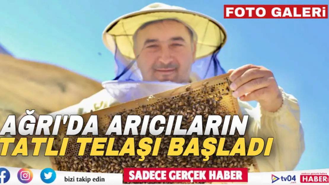 Ağrılı arıcıların 'tatlı' hasat telaşı başladı