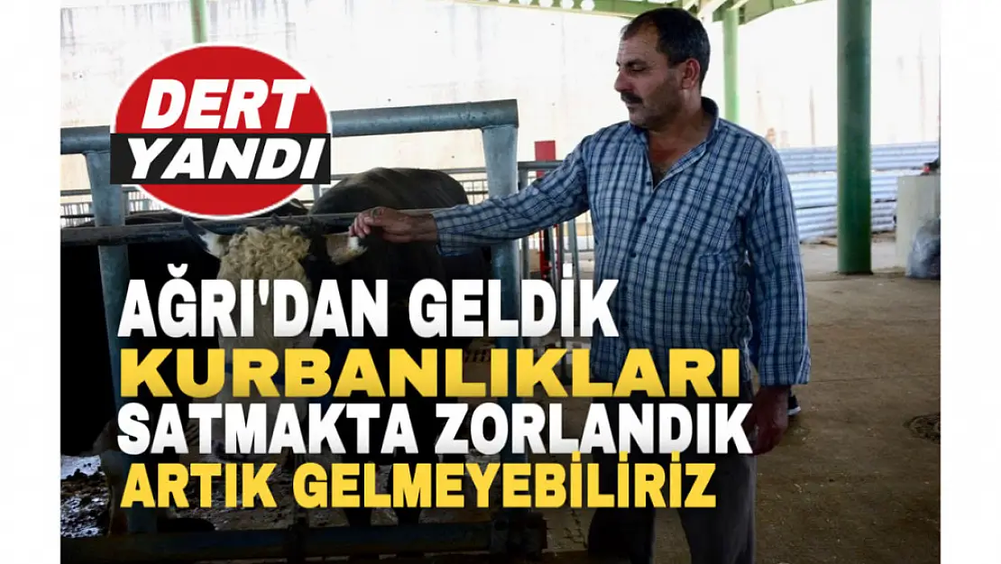 Ağrılı vatandaş dert yandı! 'Hayvanlarımızı satmakta zorlandık'