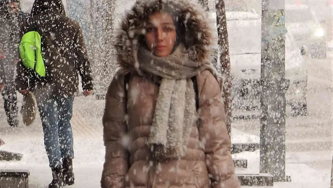 Van'da lapa lapa kar yağışı
