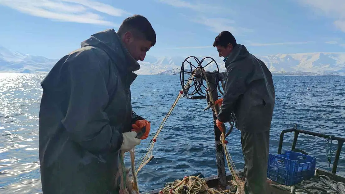 Üreme döneminde alınan tedbirler inci kefalinin çoğalmasını sağladı
