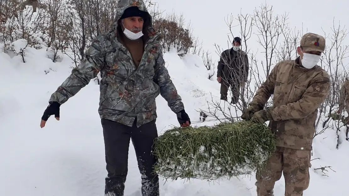 Elazığ'da yaban hayvanları için doğaya yem bırakıldı
