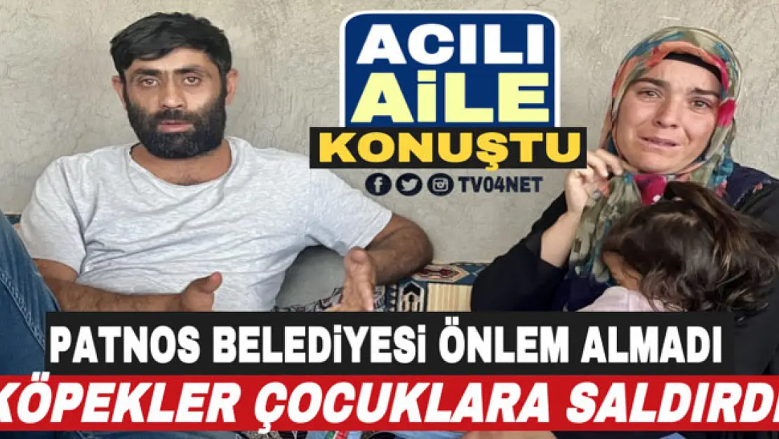 Başıboş köpeklere Patnos Belediyesi herhangi bir önlem almayınca, çocuklar sürekli saldırıya uğradı