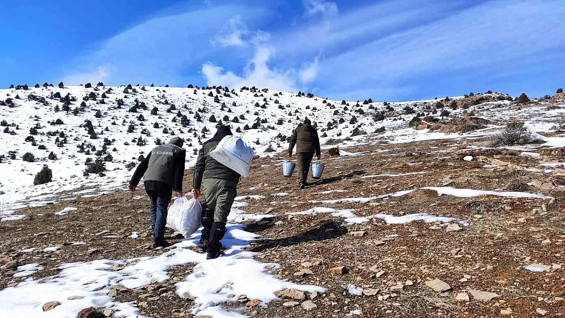 Van'da yaban hayvanlarına yem desteği
