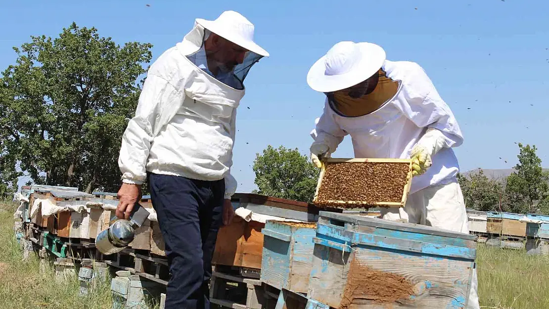 Sert geçen kış ve yaşanan kar yağışı arıcıları sevindirdi, verimli bir sezon bekleniyor
