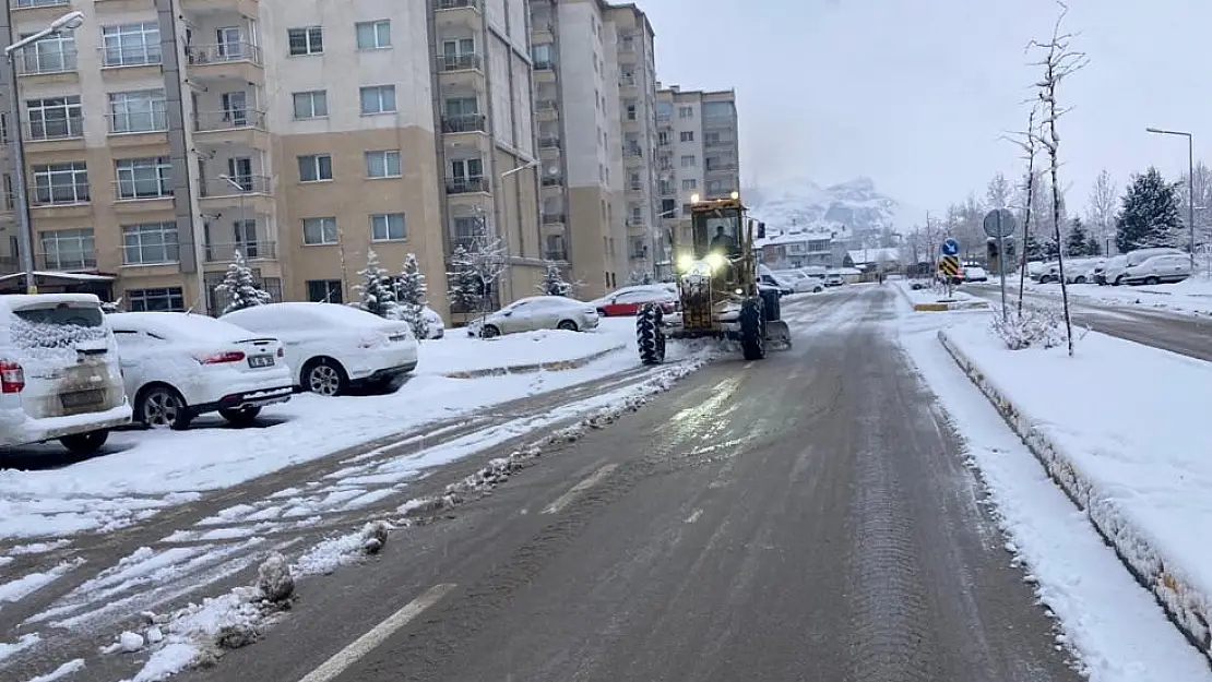 Van'da karla mücadele çalışması
