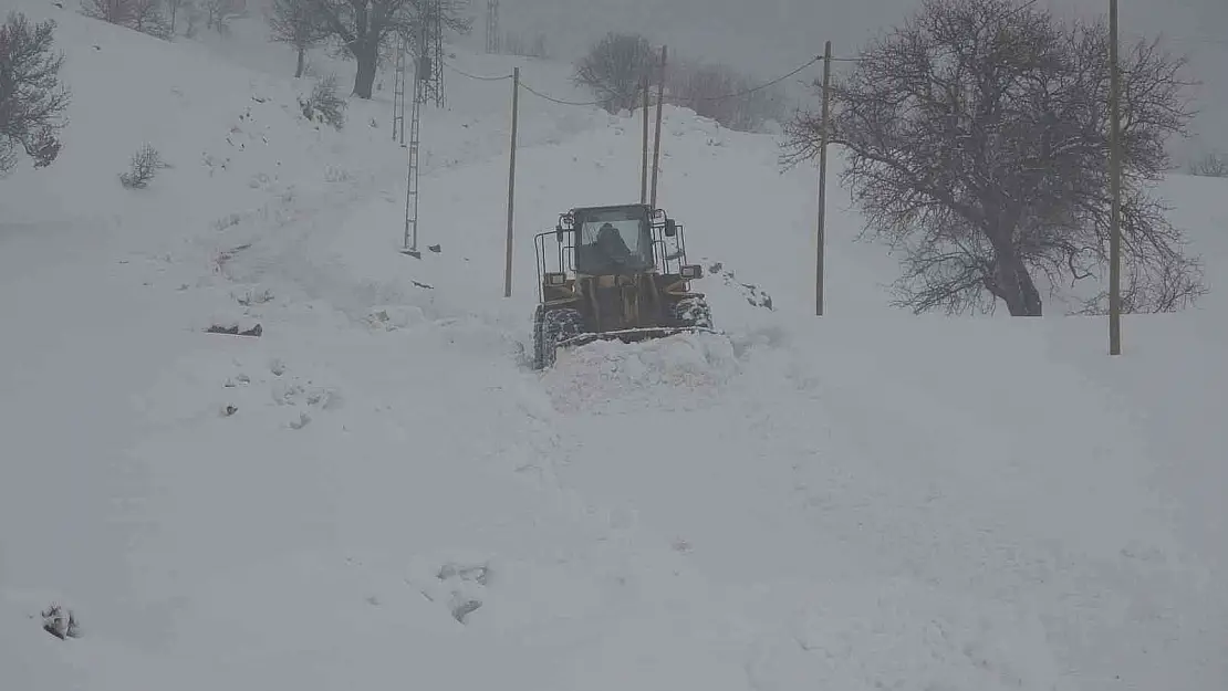 Bingöl'de kar 139 köy yolunu ulaşıma kapattı
