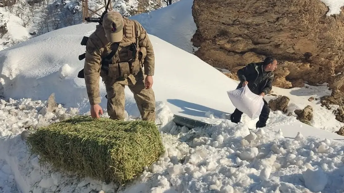 Tunceli'de yaban hayvanları için doğaya yem bırakıldı
