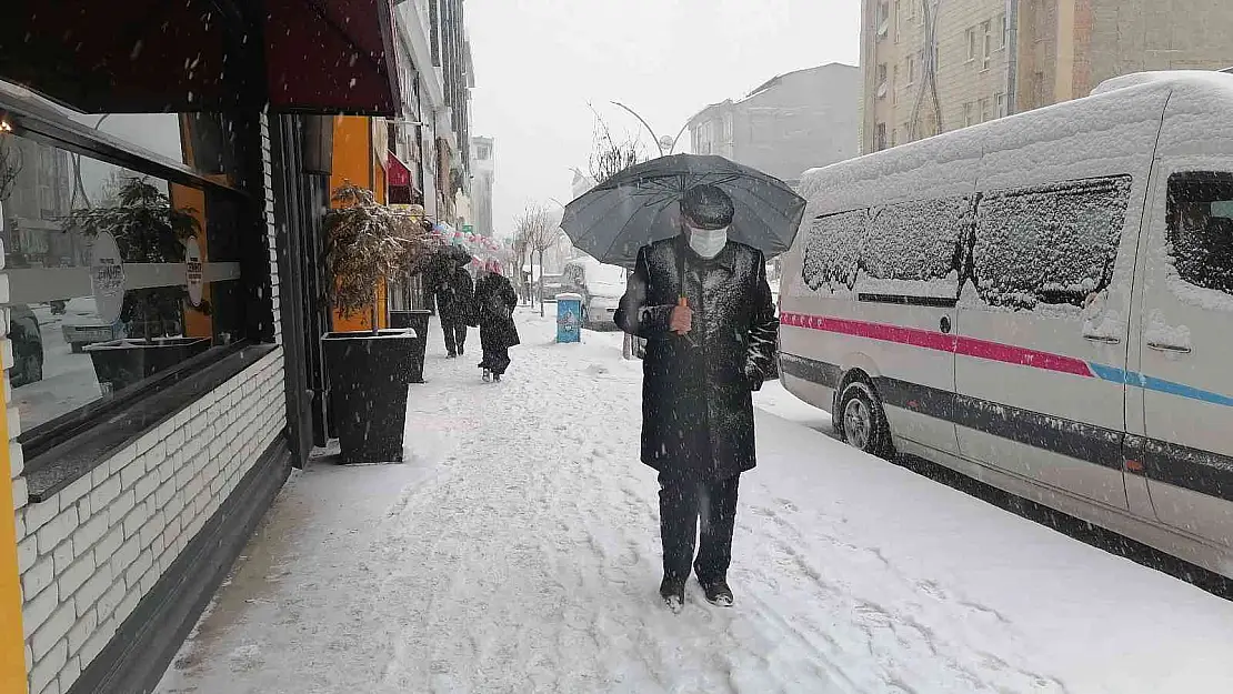 Van'da kar yağışı
