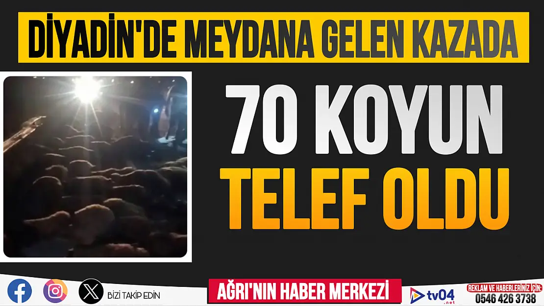 Diyadin'de meydana gelen kazada 70 koyun telef oldu, 3 kişi yaralandı