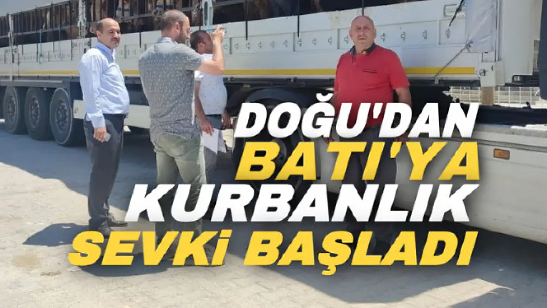 Doğu'dan batı illerine kurbanlık sevkiyatı başladı