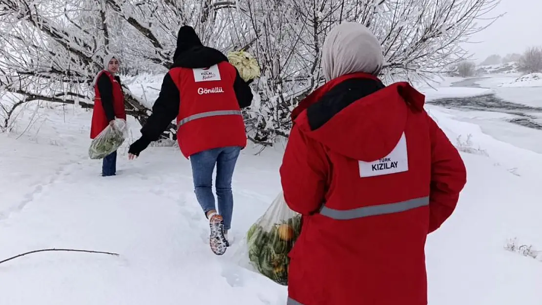 Kızılay Ağrı Gönüllüleri Yaban Hayvanları İçin Sahada