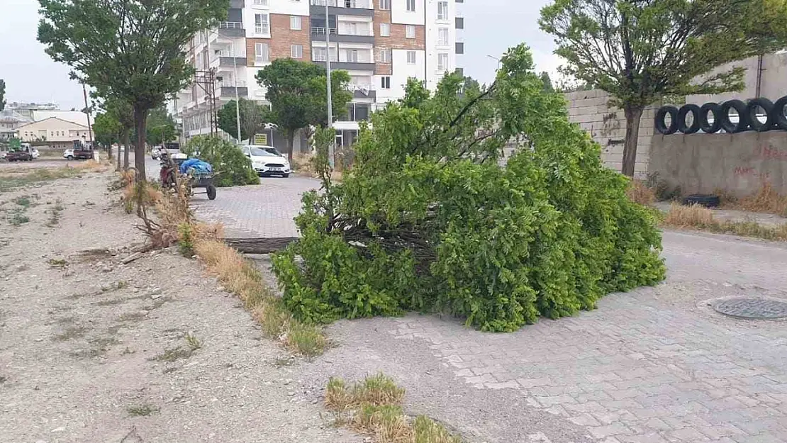 Patnos'ta fırtına önüne gelen her şeyi devirdi