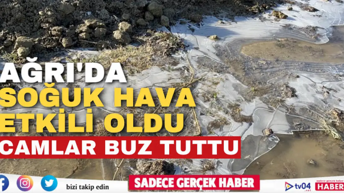 Soğuk hava Ağrı'yı etkisi altına aldı