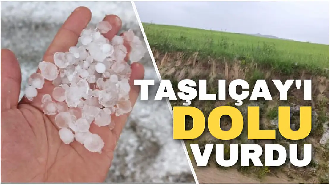 Taşlıçay'ı dolu vurdu