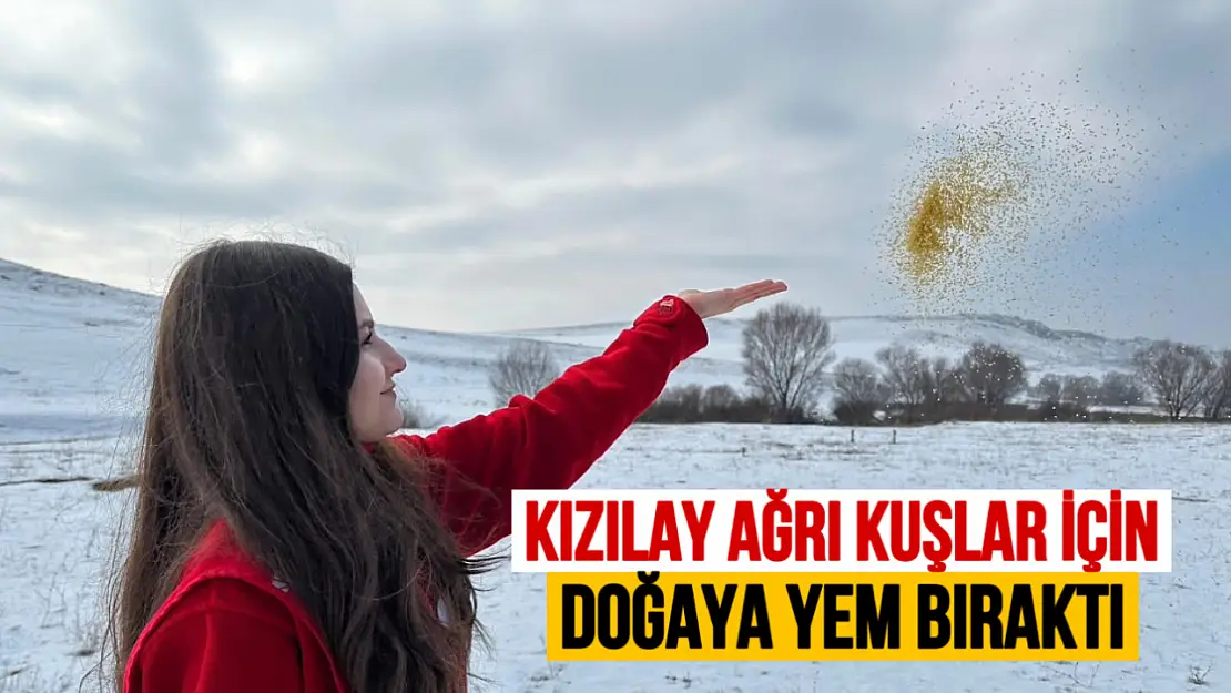 Türk Kızılay Ağrı'dan Anlamlı Çalışma: Doğaya Yem Bırakıldı