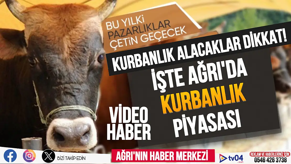 Video: İşte Ağrı'da kurbanlık hayvan piyasası