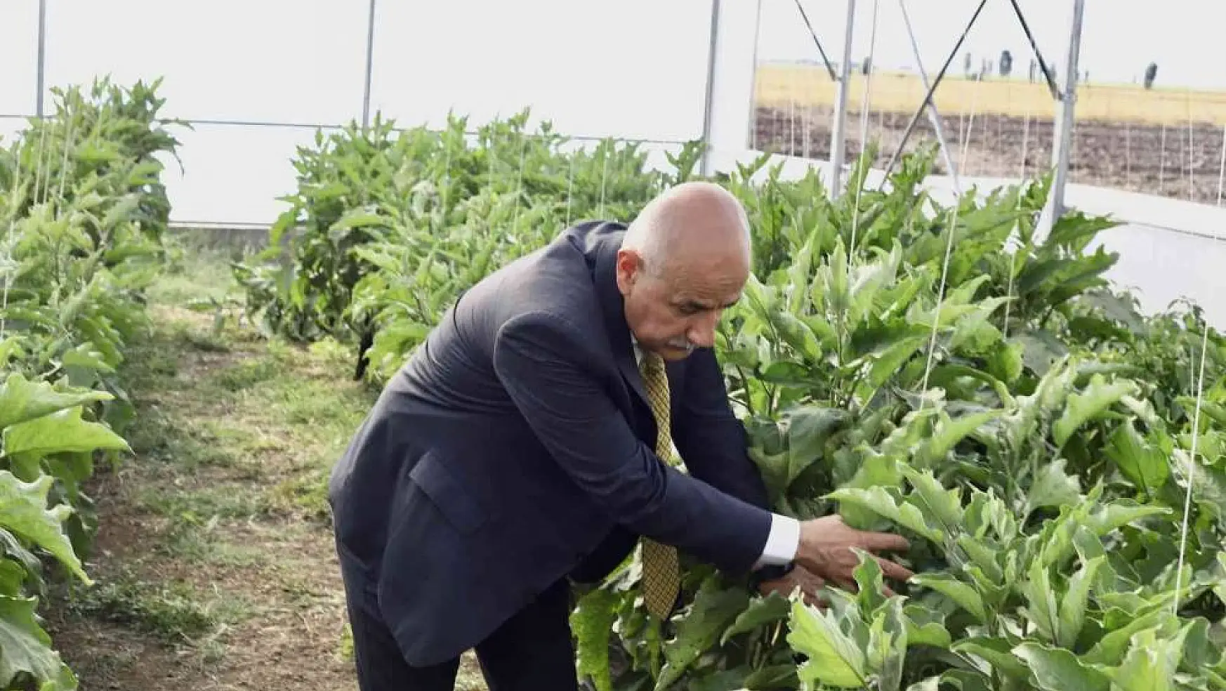 Bakan Kirişci: 'Yılın ilk 8 ayında tarım ürünleri ihracatımız 21,5 milyar dolar'
