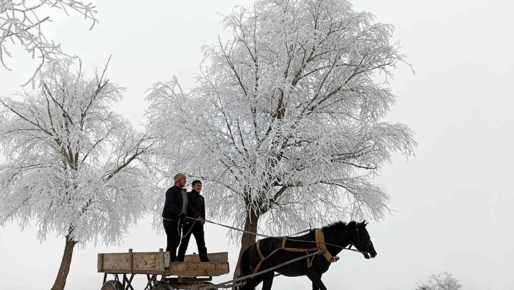 Doğu Anadolu'nun yüksek kesimlerinde kar yağışı
