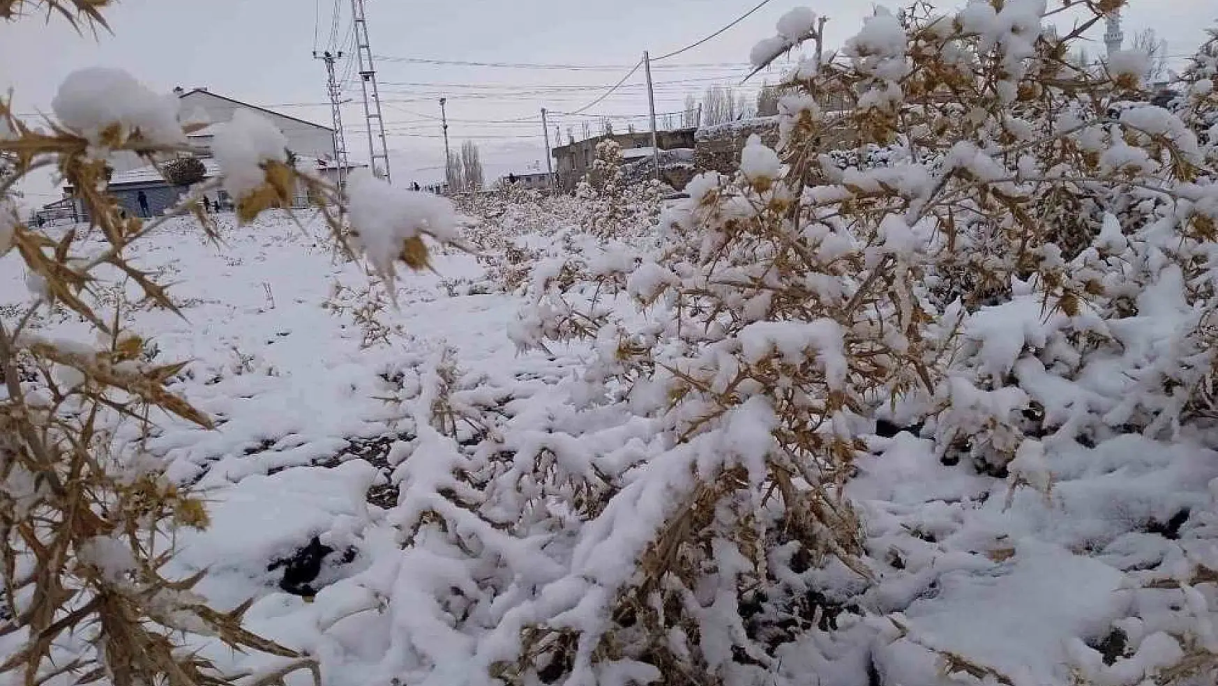 Diyadin'de kar yağışı
