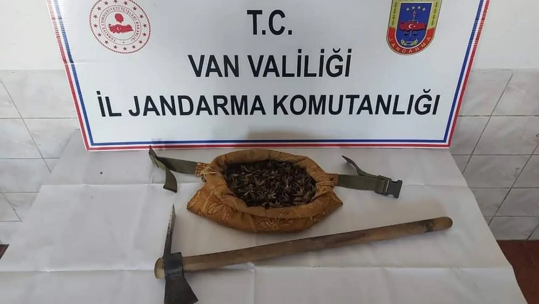 Van'da salep soğanı toplayan 7 kişi yakalandı
