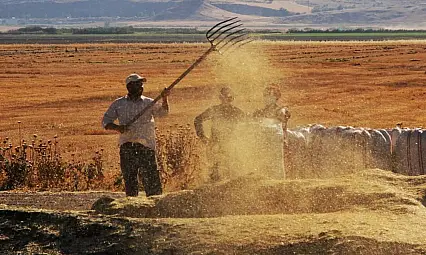 Tarımsal girdi fiyat endeksi ekimde yıllık yüzde 134,76 arttı
