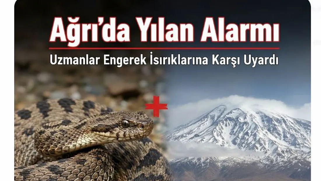 Ağrı’da Yılan Alarmı: Uzmanlar Engerek Isırıklarına Karşı Uyardı