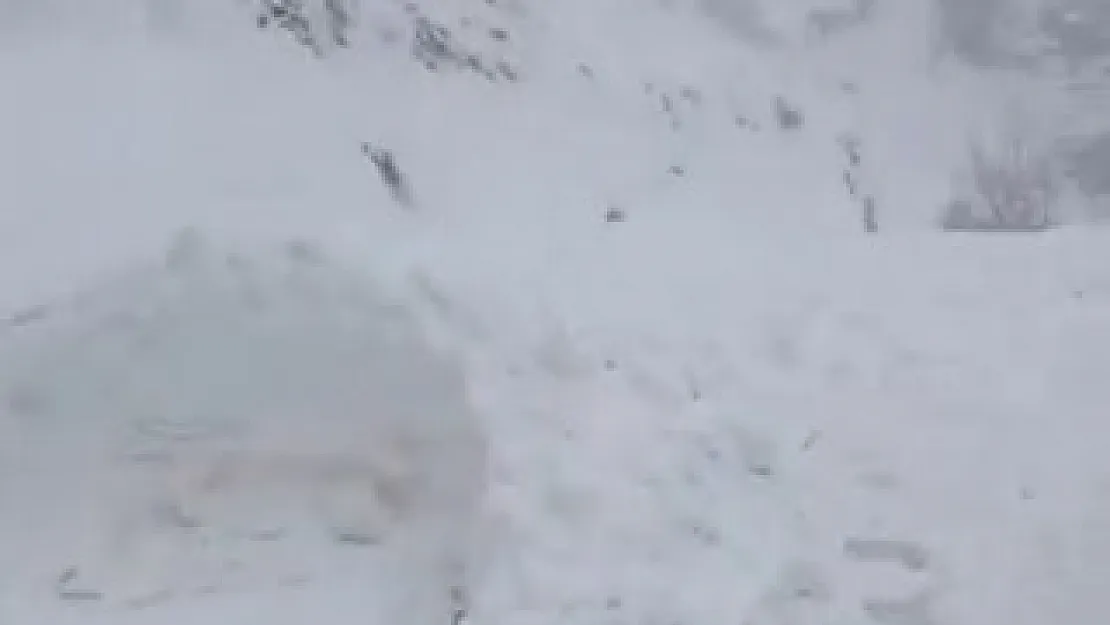 Tunceli'de çığ nedeniyle 2 yol kapatıldı
